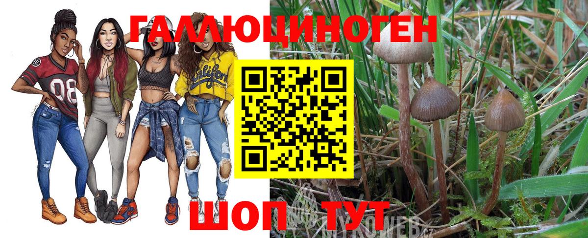 Галлюциногенные грибы мицелий  Вход с VPN  Ликино-Дулёво 